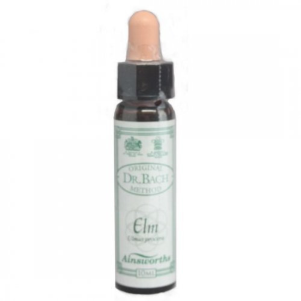 Ainsworths Bach Elm 10 ml