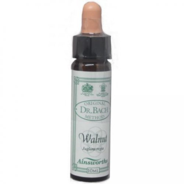 AINSWORTHS Dr. Bach Walnut 10 ml