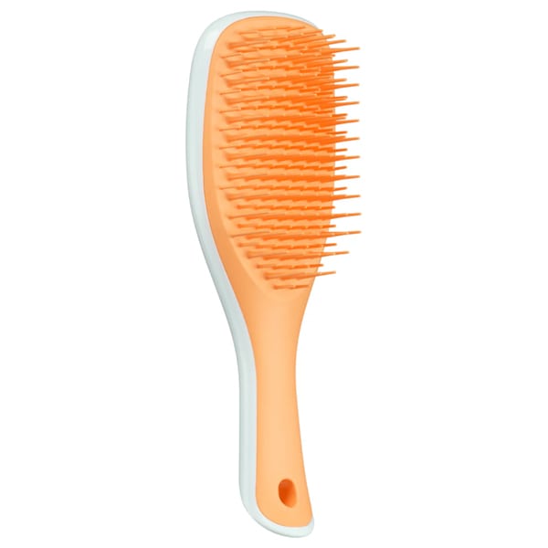 Tangle Teezer Detangling Mini Hairbrush 1 copë - Blu akulli dhe portokalli e ëmbël