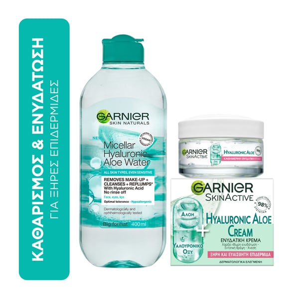 Garnier Cleansing & Hydration Set for Dry Skin with Micellar Hyaluronic Aloe Water, 400ml & Botanical Day Cream with Aloe Vera Normal/Combination Skin, 50ml 1 set