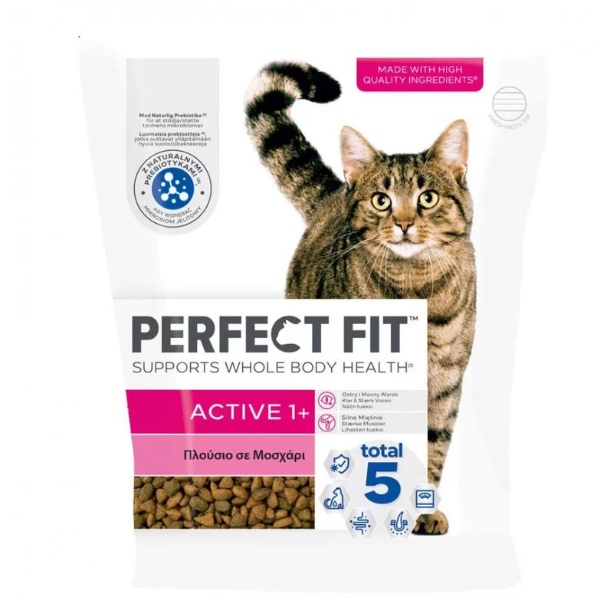 Perfect Fit Active 1+ Complete Dry Cat Food Beef 750g