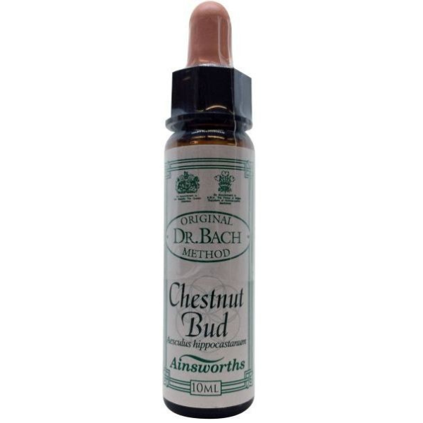 Ainsworths Bach Chestnut Bud  10 ml