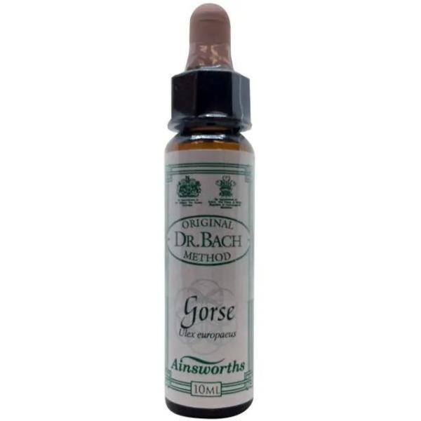 Ainsworths Bach Gorse  10 ml